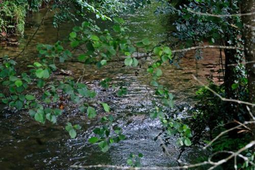 Camping Du Plan Incline Otel Henridorff Dış mekan fotoğraf
